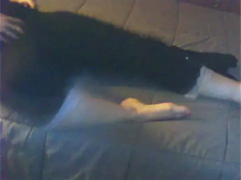 Cuginetti online show from April 27, 2026, 8:07 pm