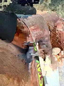 Wolf 18cm online show from April 28, 2026, 2:22 pm