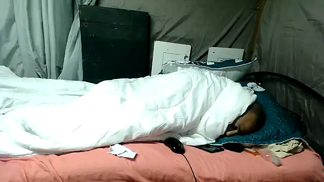 Snapshot of Camodick chatting on June 12, 2026, 1:26 am Camodick online show from June 12, 2026, 1:26 am