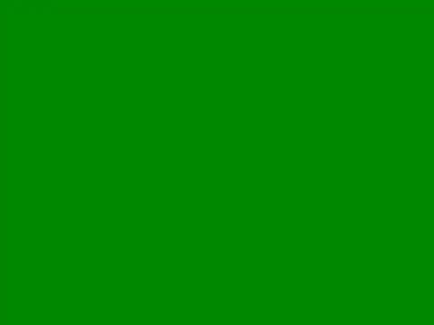 pkvjy88 online show from July 14, 2026, 5:12 am