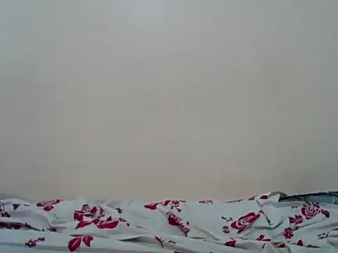 Snapshot of Hornysmoker20 chatting on July 7, 2026, 6:47 am Hornysmoker20 online show from July 7, 2026, 6:47 am