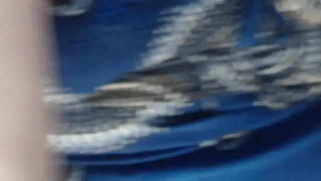 MaevenNectar online show from May 20, 2026, 5:13 am