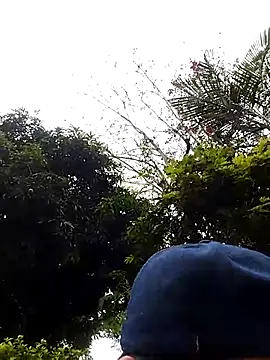 Kkjjjjnbbj online show from June 7, 2026, 6:11 pm