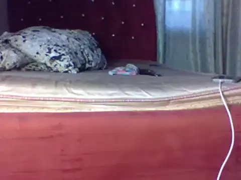 biggest black cock online show from June 25, 2026, 2:21 pm