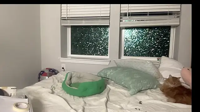 maddiliz online show from September 15, 2025, 1:49 am