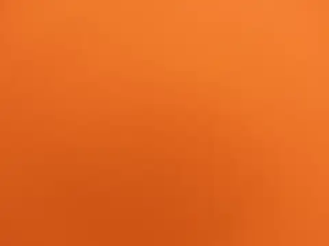 -Site-lee online show from June 30, 2026, 8:04 am