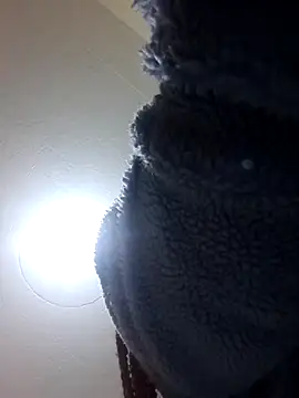 Snapshot of Miss_Bunny5 chatting on July 20, 2026, 5:37 pm Miss Bunny5 online show from July 20, 2026, 5:37 pm