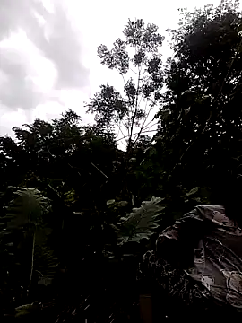 Mye kiss online show from July 20, 2026, 10:39 am