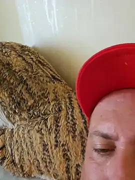 heterohotguy78 online show from July 24, 2026, 10:46 am