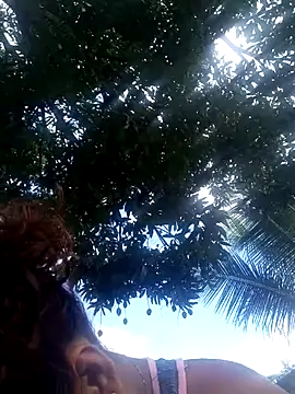 PetterRoxxy online show from July 7, 2026, 2:54 pm