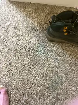 Snapshot of Stupidthick6 chatting on February 11, 2025, 10:15 am Stupidthick6 online show from February 11, 2025, 10:15 am