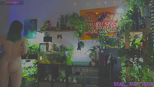 Dead Butterfly online show from January 12, 2025, 3:28 am