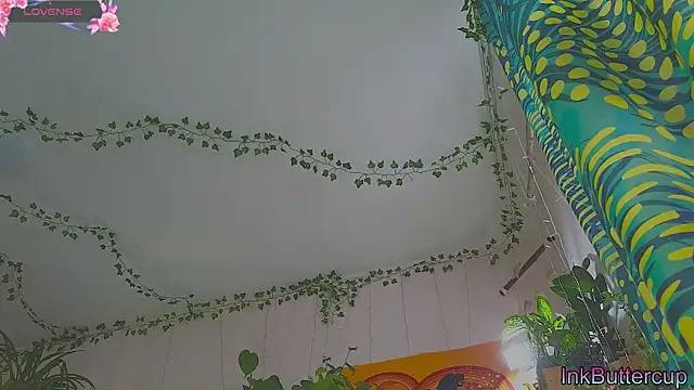 Snapshot of Dead_Butterfly chatting on September 24, 2025, 3:32 am Dead Butterfly online show from September 24, 2025, 3:32 am