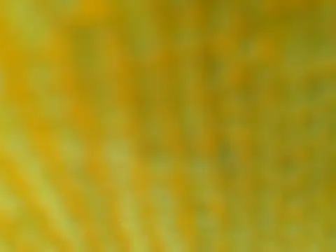 Snapshot of OGXXXOG chatting on March 16, 2025, 7:17 pm OGXXXOG online show from March 16, 2025, 7:17 pm