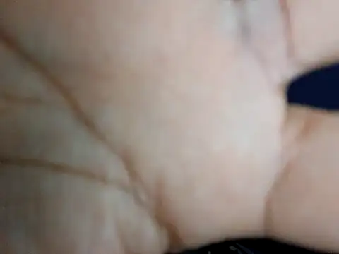 Viadi salermo online show from October 4, 2025, 11:08 am