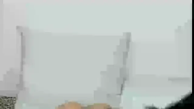 Snapshot of lorenfram chatting on January 8, 2025, 7:56 pm lorenfram online show from January 8, 2025, 7:56 pm