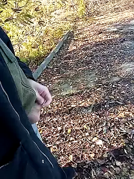 Snapshot of Pokaz2020 chatting on October 27, 2025, 11:36 am Pokaz2020 online show from October 27, 2025, 11:36 am