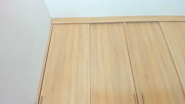 Austin Bitch online show from February 24, 2025, 3:31 pm