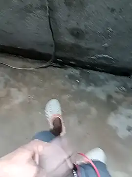 Bengali BULL1 online show from November 14, 2025, 4:49 pm