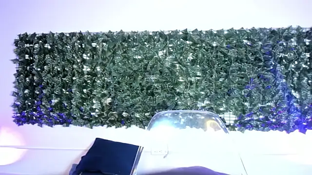 AbbyTaylorr online show from March 2, 2026, 3:20 am