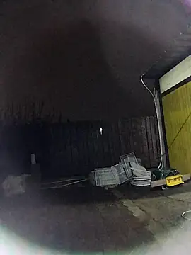 sarpe4 online show from November 20, 2025, 5:01 pm