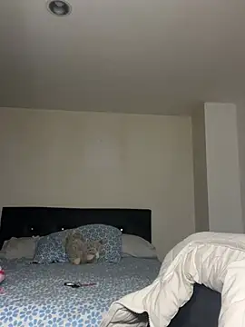 swrennn19 online show from February 17, 2025, 10:47 pm