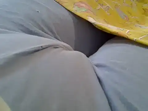 Snapshot of perescam chatting on February 12, 2025, 3:16 pm perescam online show from February 12, 2025, 3:16 pm