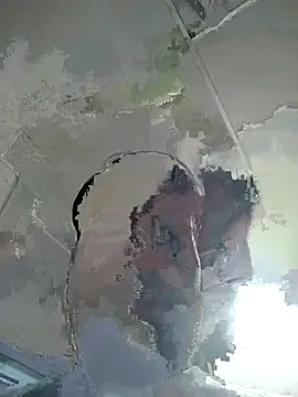 Snapshot of Dogol1990 chatting on October 6, 2025, 7:50 am Dogol1990 online show from October 6, 2025, 7:50 am