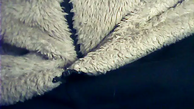 Snapshot of kalinixta chatting on January 6, 2026, 6:44 pm kalinixta online show from January 6, 2026, 6:44 pm