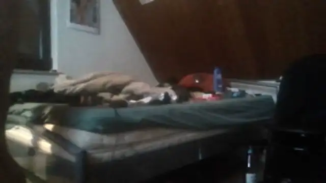 Genius1606 online show from November 30, 2025, 6:28 am