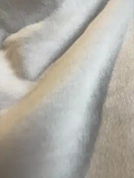 Aestheticsgirl online show from March 3, 2026, 7:47 am