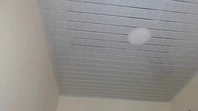 adrixxx38 online show from November 3, 2025, 7:37 pm