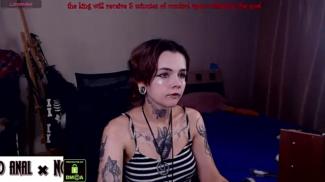 Dark  Elf online show from June 11, 2026, 9:13 pm