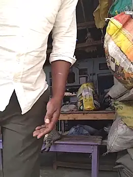 Snapshot of rohanhotguy chatting on February 14, 2026, 5:59 am rohanhotguy online show from February 14, 2026, 5:59 am