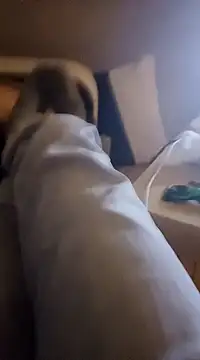 InMeinenMund online show from January 13, 2025, 2:39 am