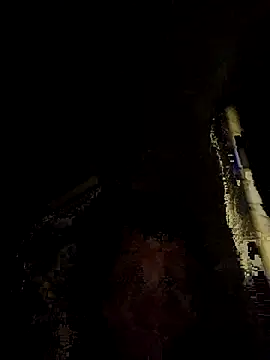 tropikboy online show from November 25, 2025, 12:10 am