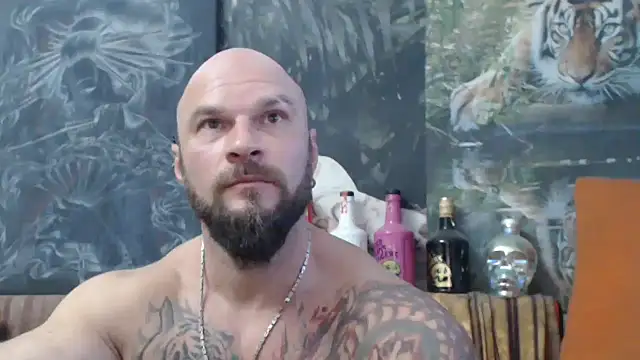 viking 30 online show from October 4, 2025, 2:48 pm