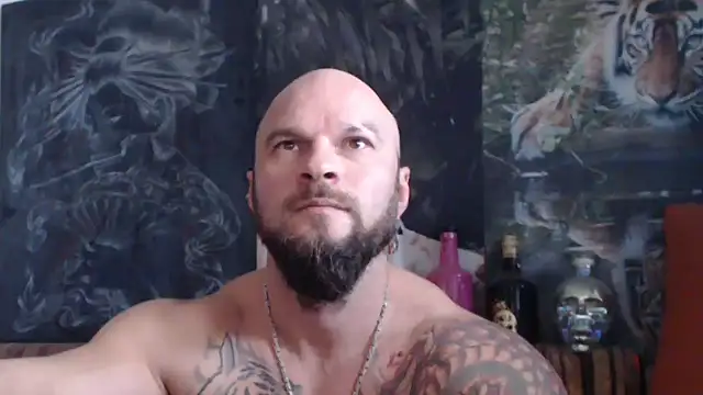 viking 30 online show from November 9, 2025, 8:01 am