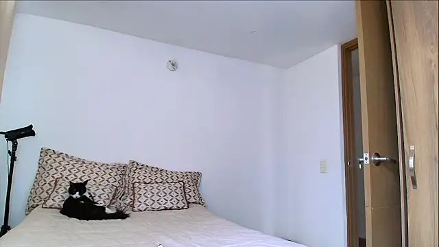 Snapshot of SARA_TS_FOX chatting on February 11, 2026, 5:18 pm SARA TS FOX online show from February 11, 2026, 5:18 pm