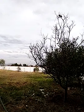 Snapshot of Chacal_Armyy chatting on March 9, 2026, 11:20 pm Chacal Armyy online show from March 9, 2026, 11:20 pm