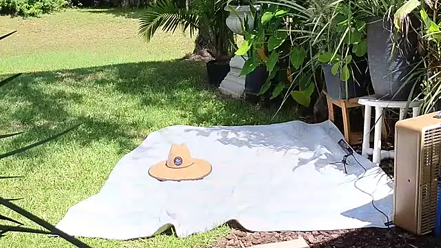 eliberator1777 online show from September 21, 2025, 5:03 pm