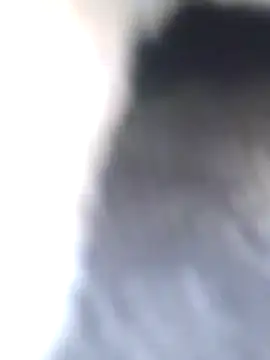 Snapshot of Dirtyfeelin chatting on January 27, 2025, 8:40 am Dirtyfeelin online show from January 27, 2025, 8:40 am