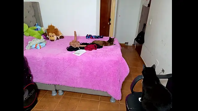 Snapshot of emily_honter chatting on December 14, 2025, 8:46 pm emily honter online show from December 14, 2025, 8:46 pm