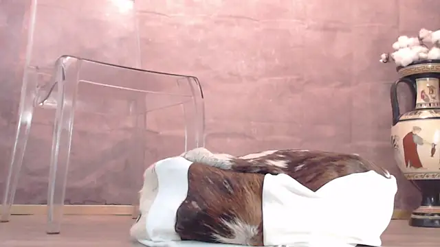 Snapshot of Lady-Nymph chatting on October 26, 2025, 5:19 pm Lady-Nymph online show from October 26, 2025, 5:19 pm