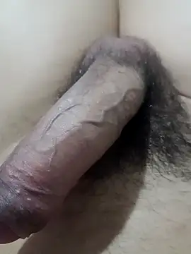 Snapshot of DozenDistance chatting on February 19, 2026, 4:19 am DozenDistance online show from February 19, 2026, 4:19 am