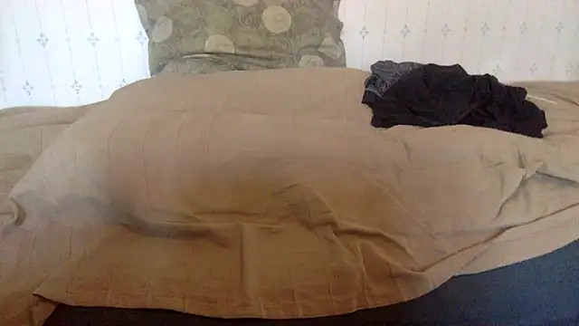 Snapshot of hamstergrabben chatting on February 24, 2025, 11:54 am hamstergrabben online show from February 24, 2025, 11:54 am