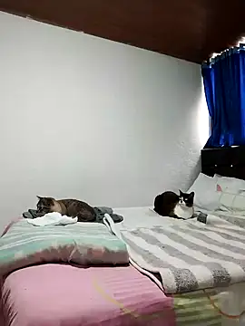 Vicky Rosse online show from November 1, 2025, 5:37 pm