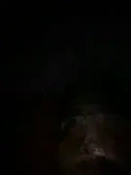 Snapshot of Eslam222s chatting on March 14, 2026, 12:06 am Eslam222s online show from March 14, 2026, 12:06 am