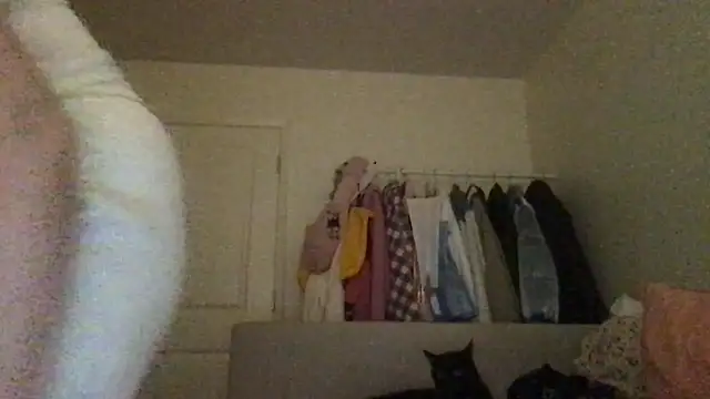 HYPHYtype online show from September 23, 2025, 7:44 am