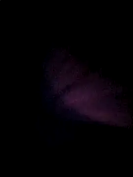Sines21 online show from June 12, 2026, 3:27 am